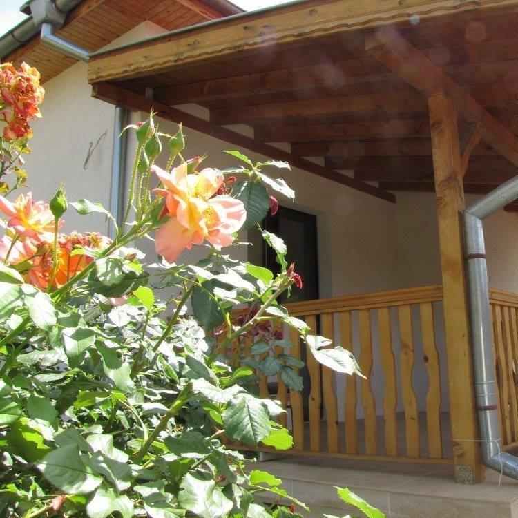 Guest House Vergie Sapareva Banya Ngoại thất bức ảnh